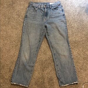 Imogene + Willie Sophie Jeans 29